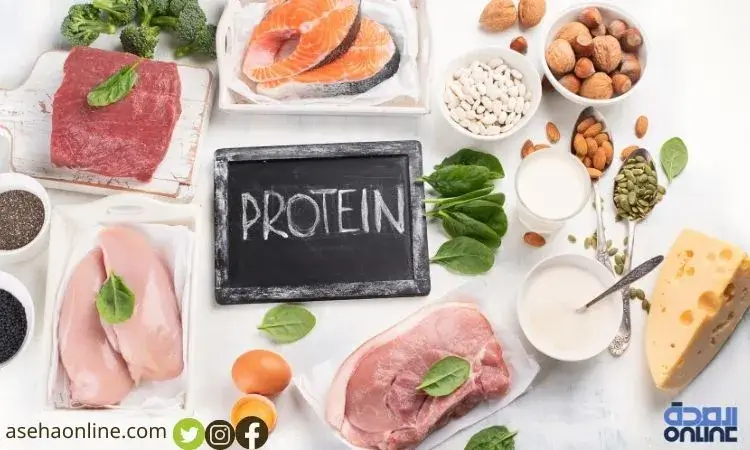 اجعل البروتين عنصر أساسي في جميع وجباتك